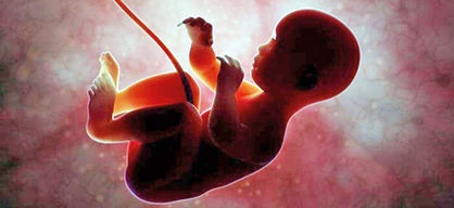 اصلاح قانون «سقط جنین» در دستورکار
