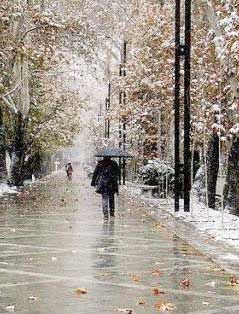 وضعیت دما و بارش تهران در زمستان
