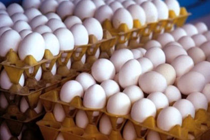 چرا تخم‌مرغ گران شد؟