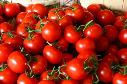 افزایش قیمت گوجه فرنگی به کیلویی ۱۰ هزار تومان/ قیمت موز شناور شد